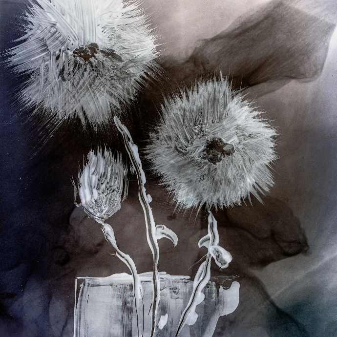 Fabienne Corbisier - détail