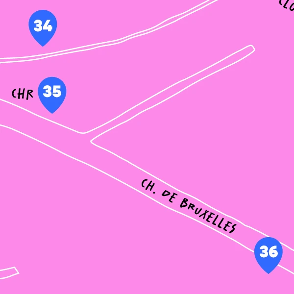 Plan Afiiche Michèle Vandeneycken